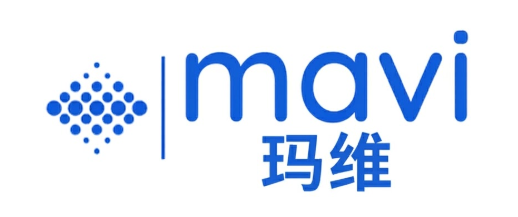 Mavi Group